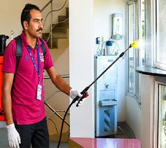 Professional Service Team