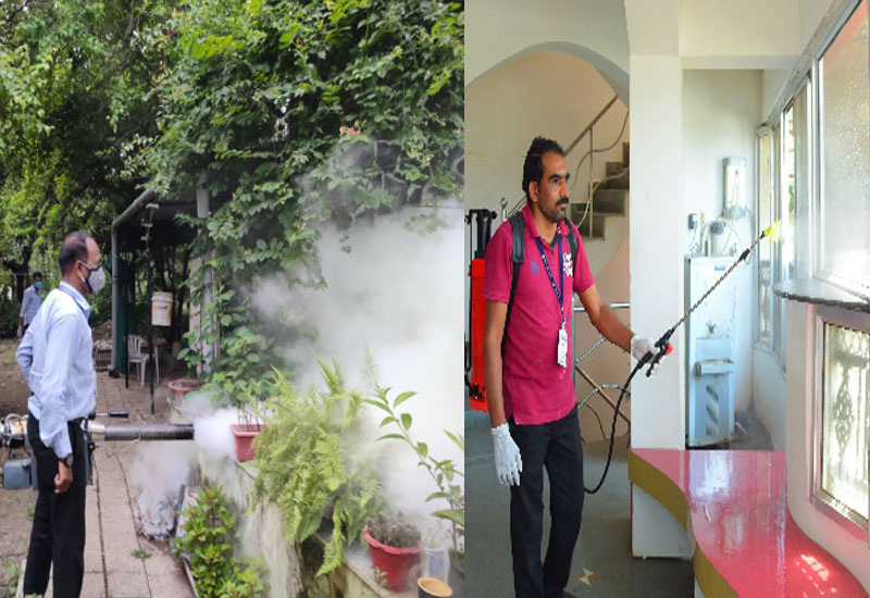 Pest Control Services