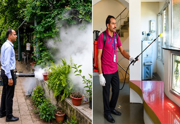 Pest control services in Nagpur