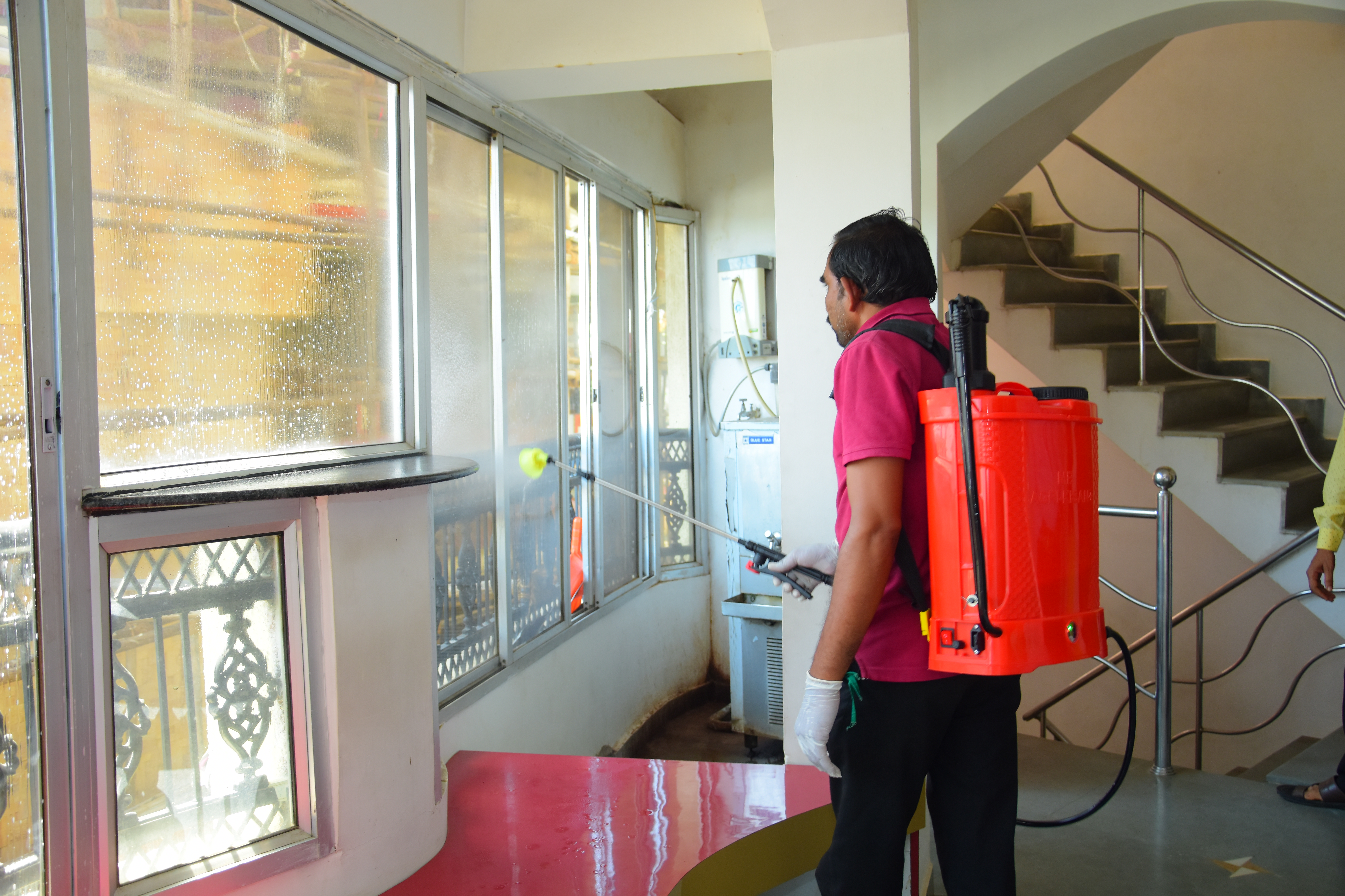 Pest Control Services